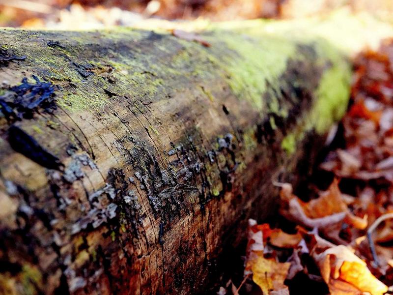 mini sudoku screenshot 2